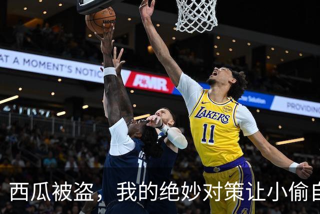 西瓜被盗，我的绝妙对策让小偷自食恶果